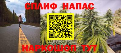 хмурый Краснодар