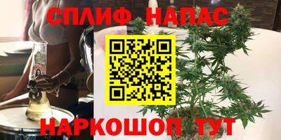 гидра Краснокаменск