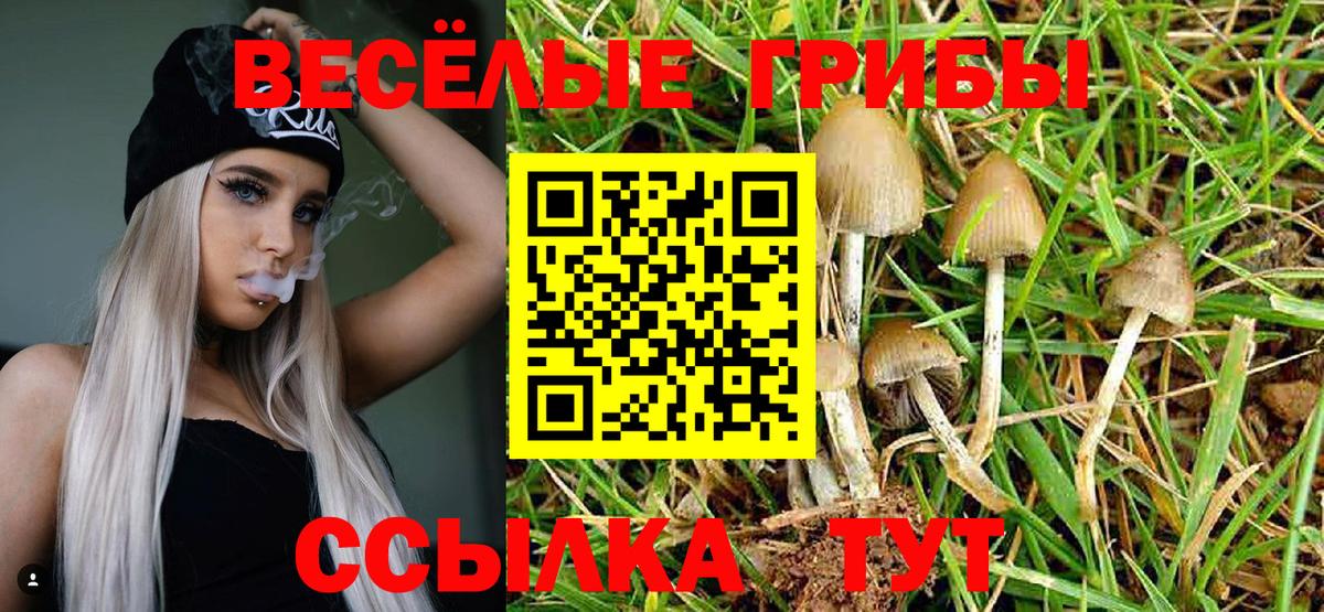Котельники  Псилоцибиновые грибы Cubensis  дарнет шоп  Вход с VPN  Галлюциногенные грибы Psilocybe 
